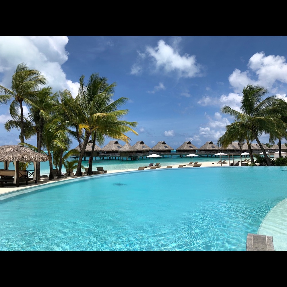 Meet your Posher, Pikana